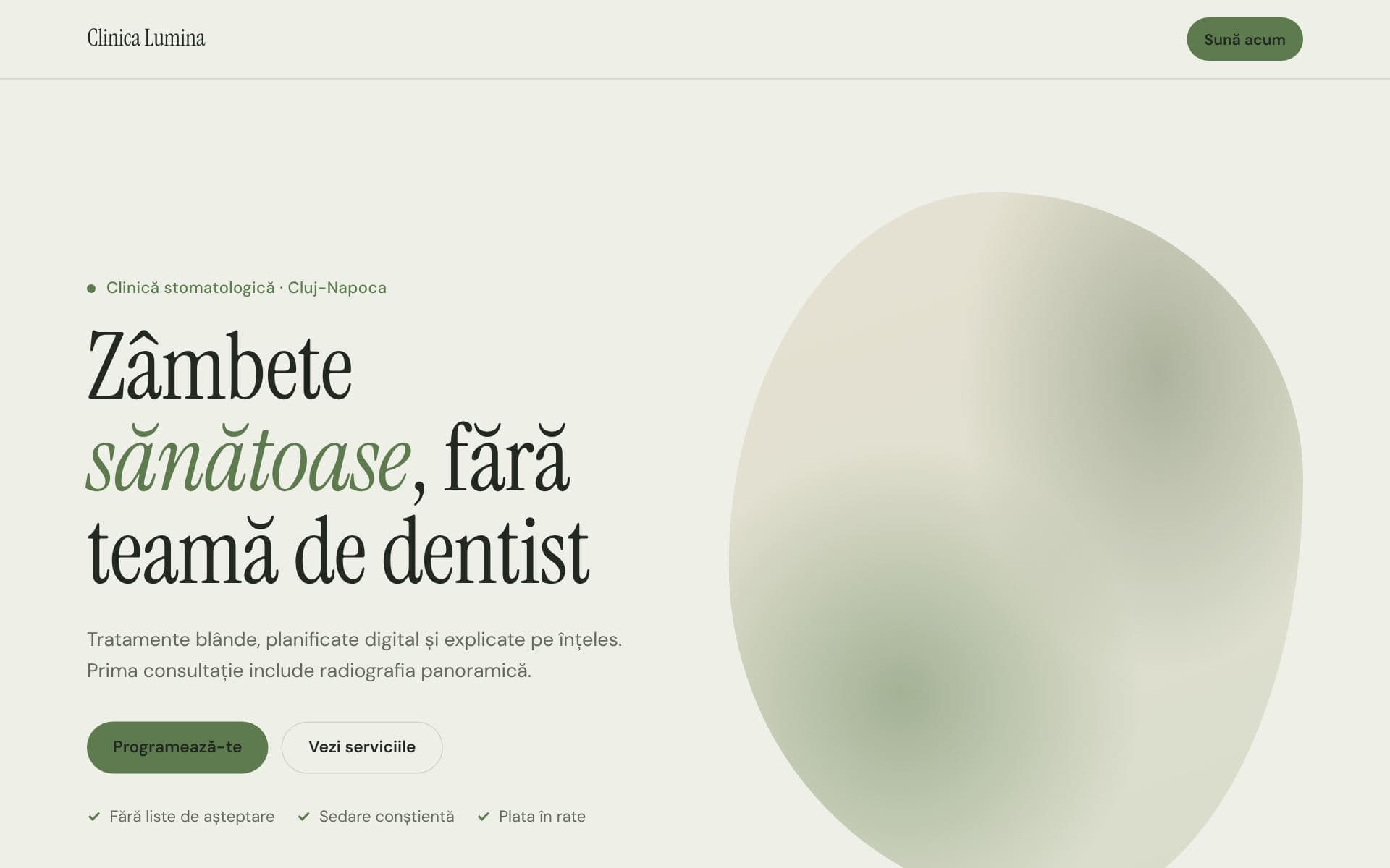Secțiune dintr-un site în stilul Natural
